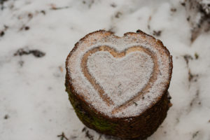 Heart in snow on a tree stump, Harz National Park, Germany, Heart in snow on a tree stump, Harz National Park, Germany,